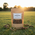 Organic Senna Pods Whole in kraft paper pouch bag outdoors with golden sunshine